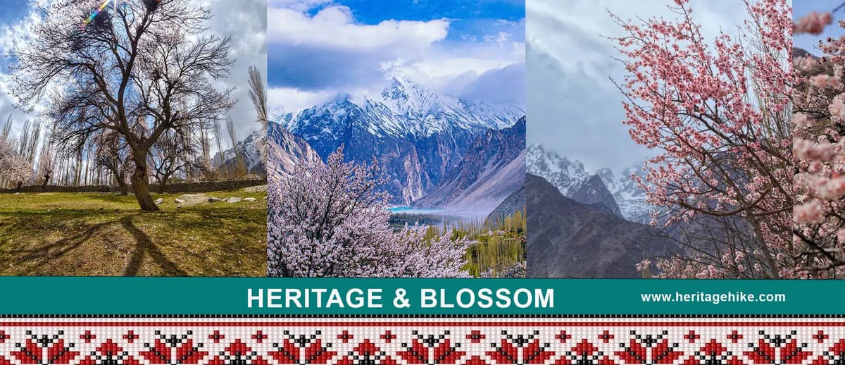 Hunza Valley Blossom Tour | Spring Tour Package